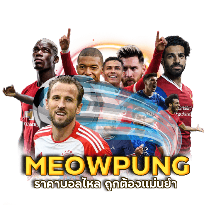 เว็บแทงบอล เชื่อถือได้ MEOWPUNG